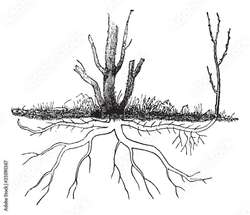 Ground layering vintage engraving