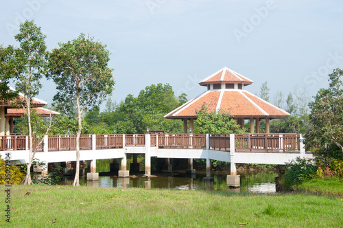 bridge in garden