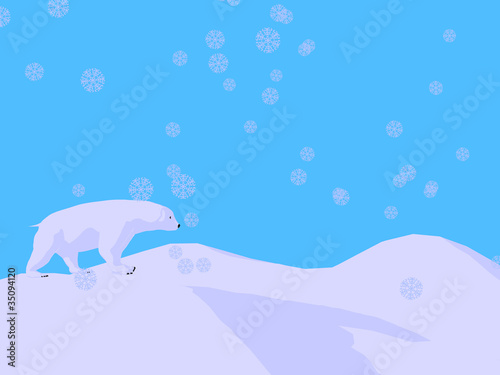 Polar Bear