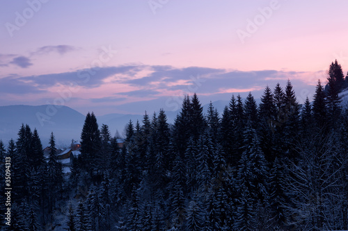 Fototapeta Naklejka Na Ścianę i Meble -  winter mountain landscape