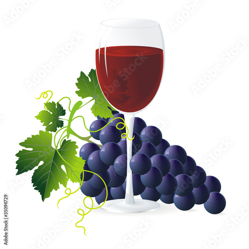 blue grapes and wine