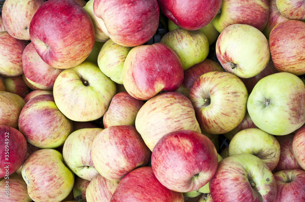 Fruit apples - perfect for background Fruit apples - perfect for background