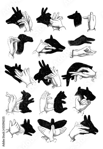 Shadows of the hand. - Reindeer, chamois, sheep, camel, pig, goo