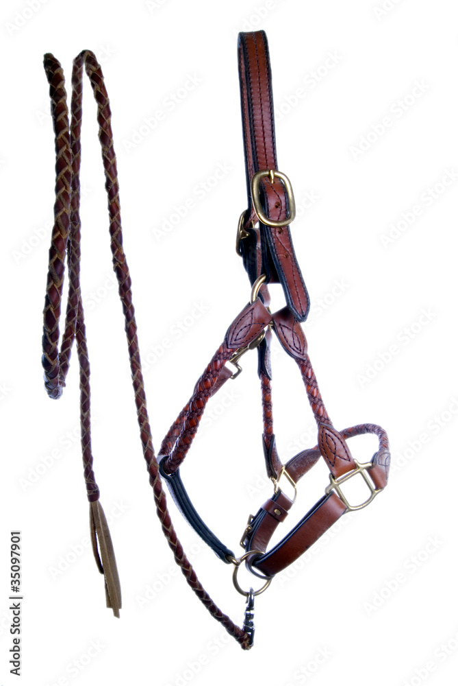 Fototapeta premium Leather Halter and Braided Leadrope