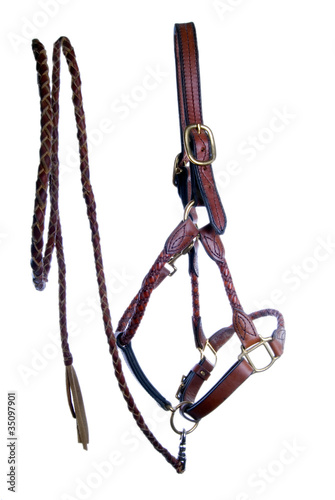 Leather Halter and Braided Leadrope
