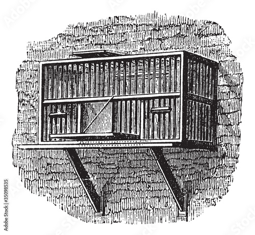 Trap of landing board for pigeon, vintage engraving.