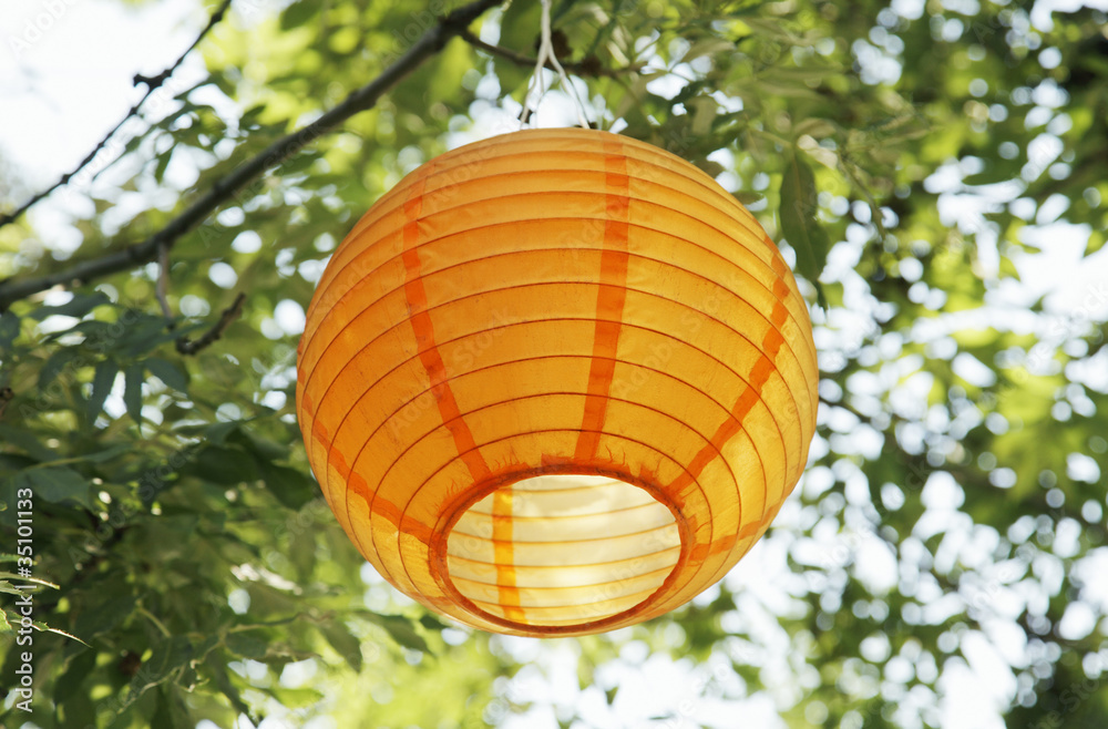 Obraz premium lampion