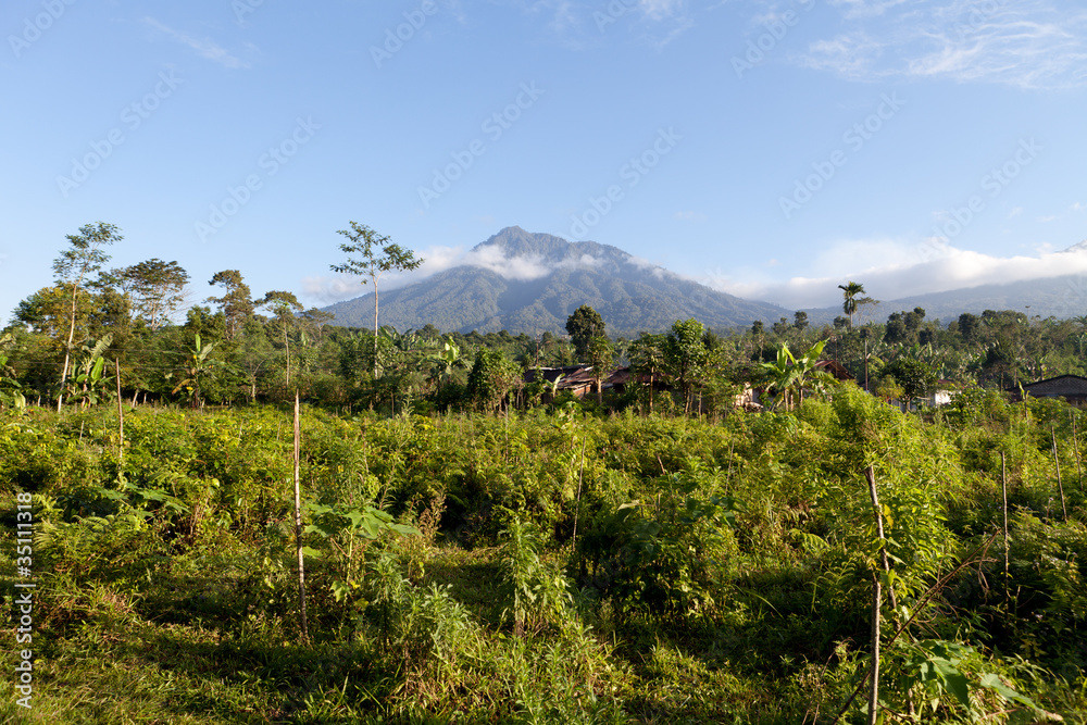 volcan mérapi ijen