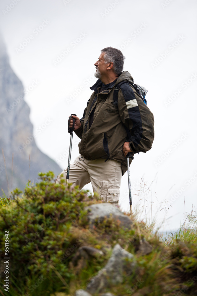 active handsome senior man nordic walking outdoors active handsome senior man nordic walking outdoors