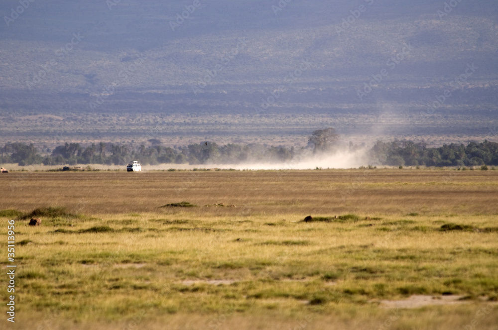Game drive at Amboseli NP, Kenya