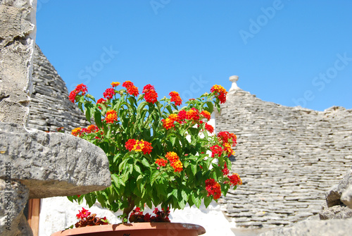 The Trulli of Alberobello - Apulia - Italy