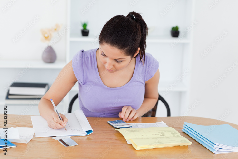 Young woman accounting in her living-room Young woman accounting in her living-room