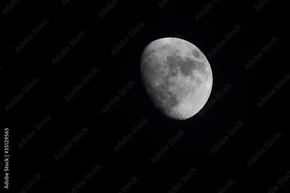 Obraz premium Half Moon