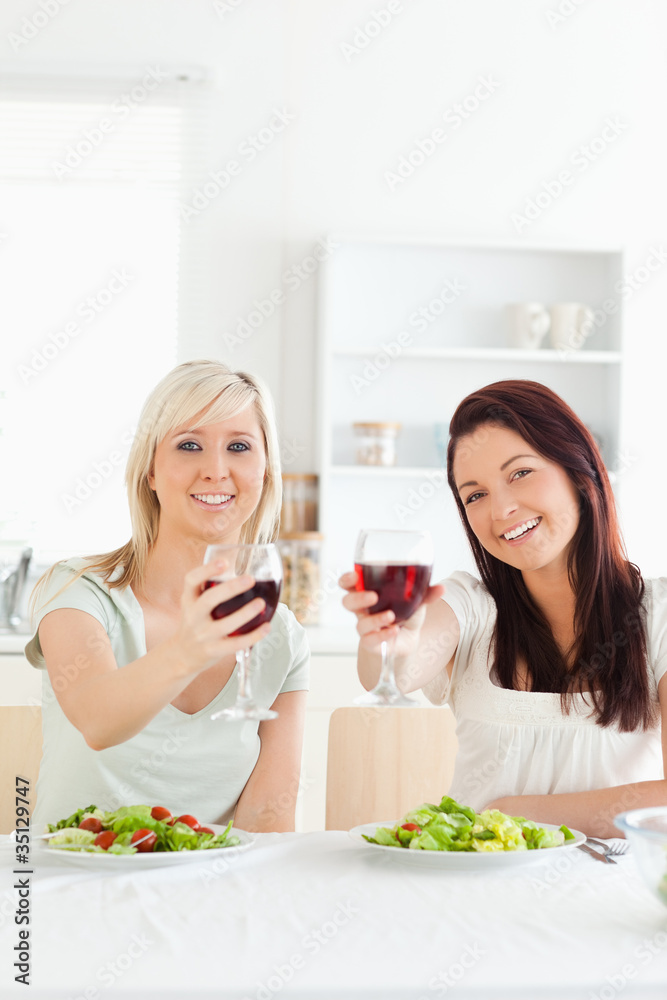 Young Women toasting with wine Young Women toasting with wine