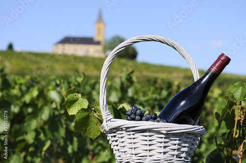 bottle of red wine in countryside photo