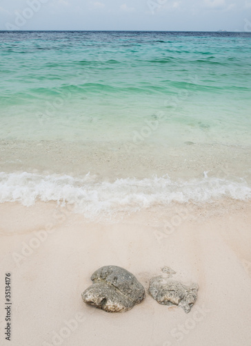 Canvas Print Beautiful beach