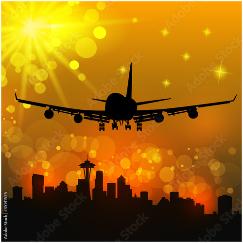 Vector illustration of the airliner and city
