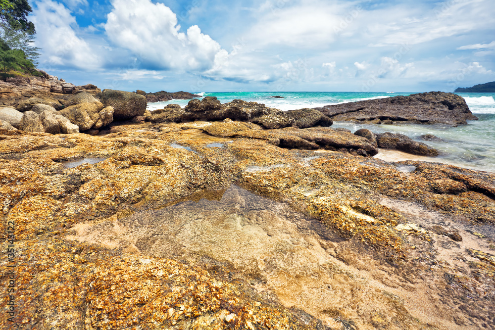 Exotic tropical beach. Exotic tropical beach.