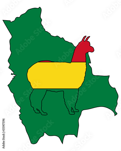 Alpaka Bolivien
