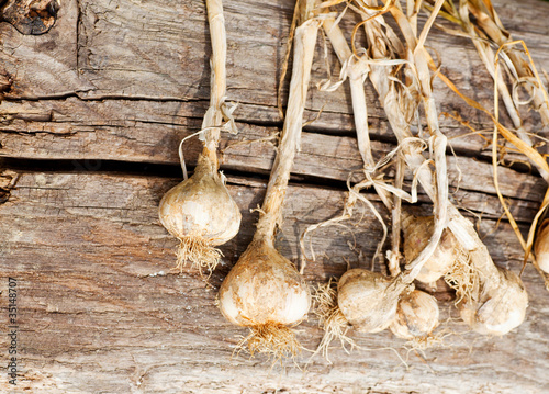 Biologocal garlics photo