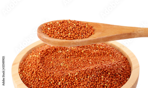 Unpilled millet in plate with spoon isolated on white photo