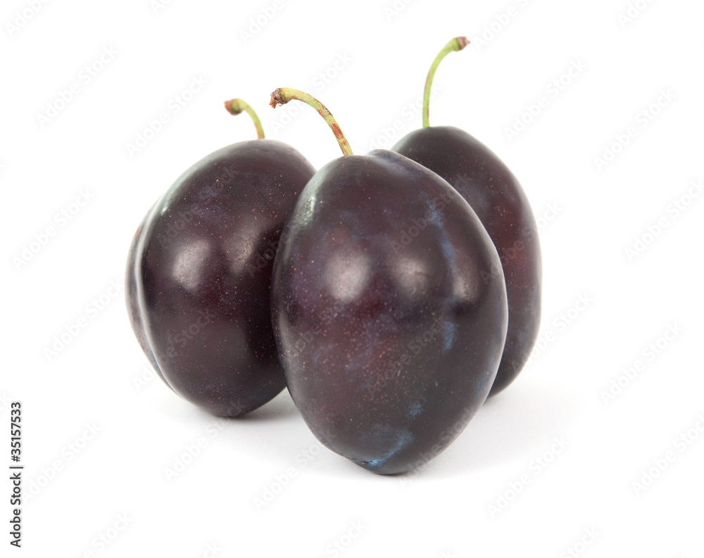 plum plum