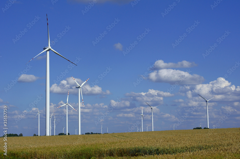 farma elektrowni wiatrowych 2 - obrazy, fototapety, plakaty 