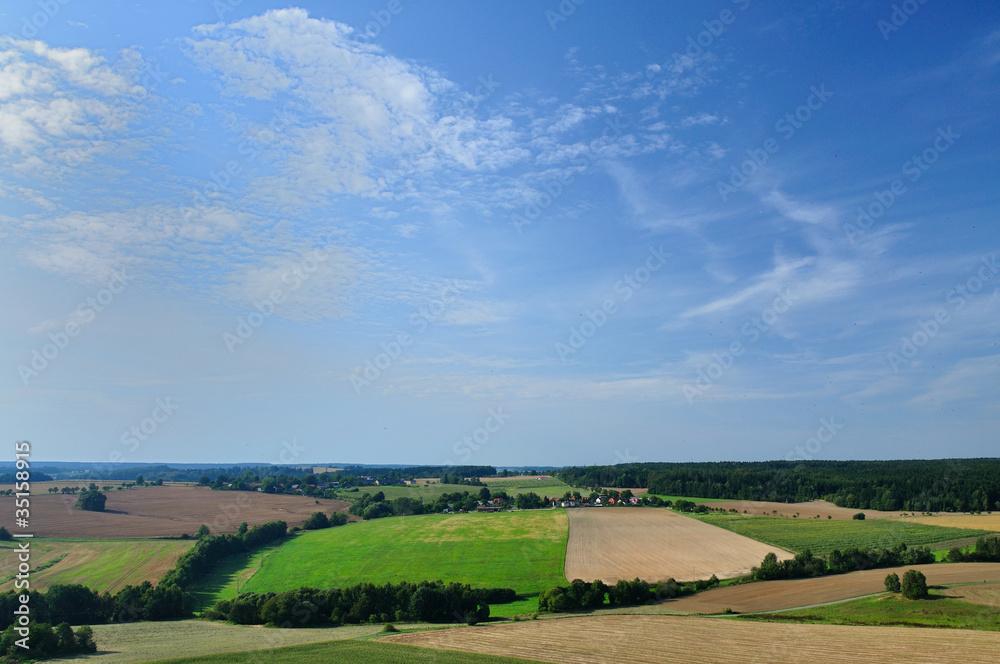 Obraz premium Summer landscape