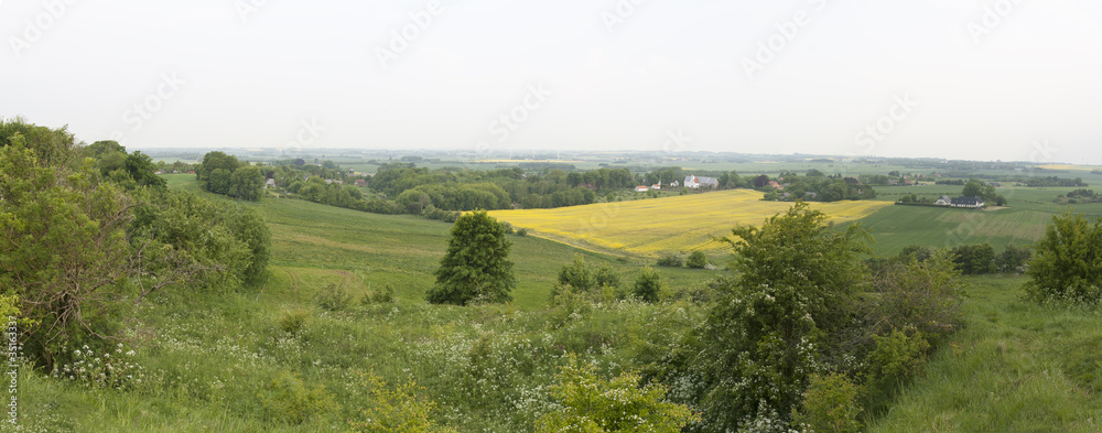 Green and Yellow Fields