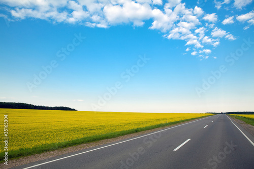 Photo Never ending highway through green fields and blue cloudy sky