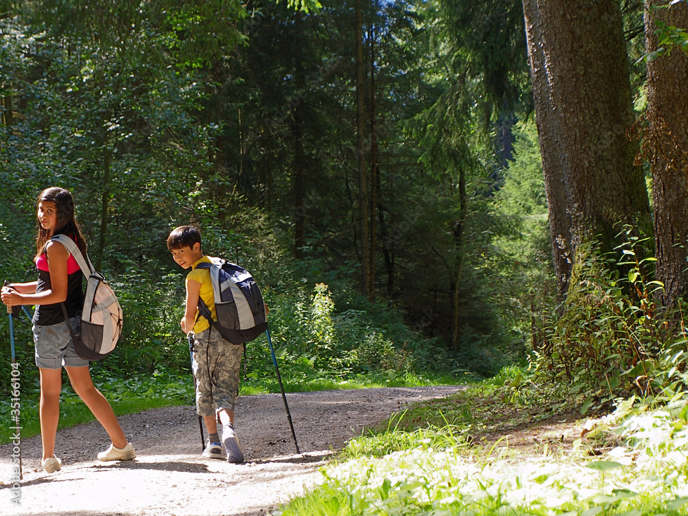 Fototapeta premium kids hiking trip