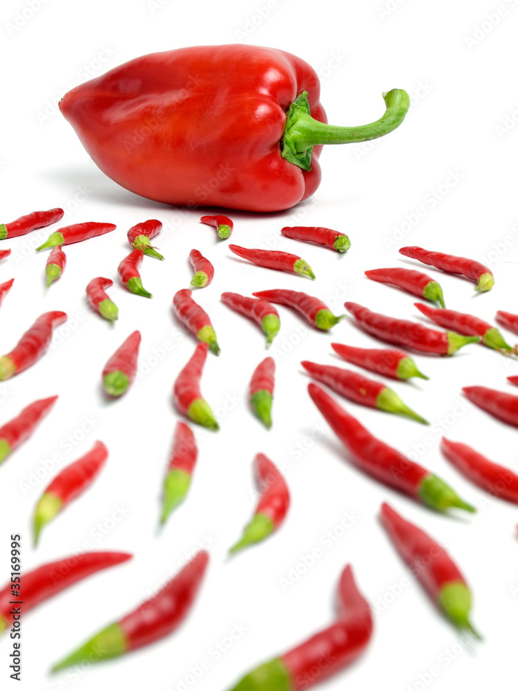 Chili fertilization Chili fertilization