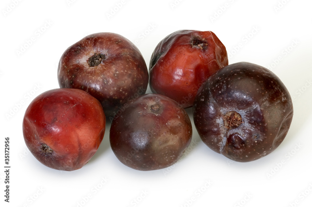 Fototapeta premium Ripe Acerola