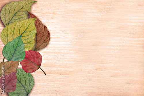 Autumn background with the multi-coloured leaves on wood