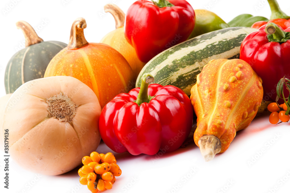 Autumn harvest on white background Autumn harvest on white background