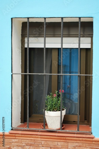 Ventana con maceta