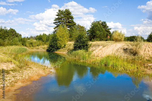 Small lake in pine forest