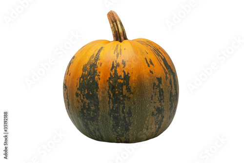 Pumpkin