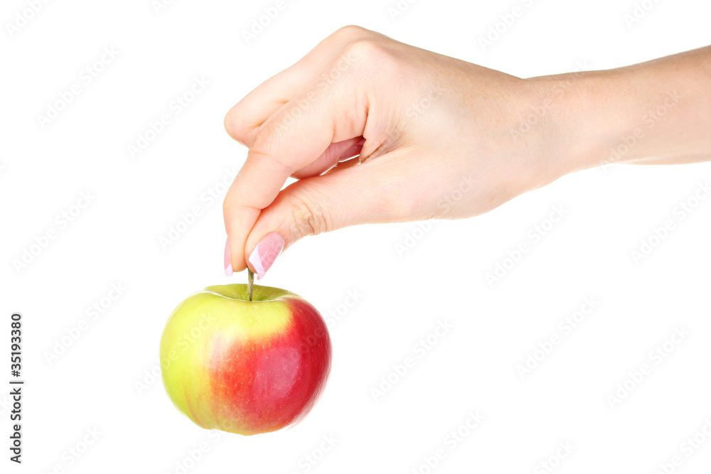 Woman hand holdig ripe organic redapple isolated on white Woman hand holdig ripe organic redapple isolated on white