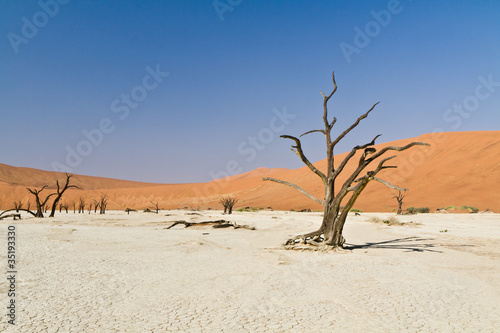 Dead Vlei, Namibwüste, Namibia, Afrika