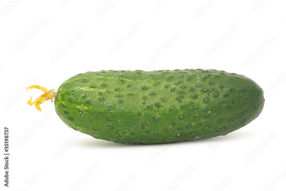 cucumber cucumber