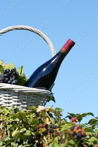 bottle of red wine photo