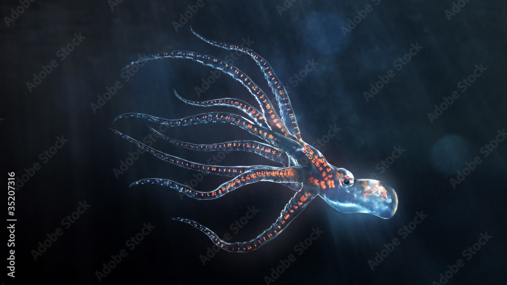 Fototapeta premium deep sea octopus