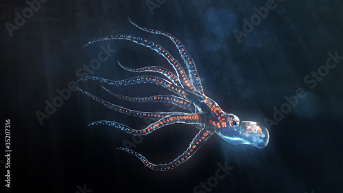 deep sea octopus photo