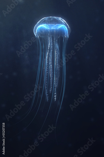 Fototapet deep sea jellyfish