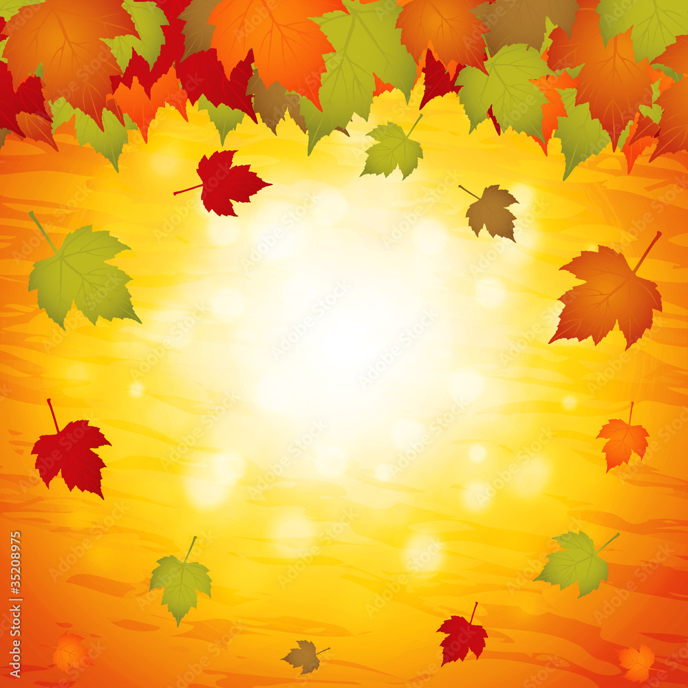 Autumn leaves background Autumn leaves background