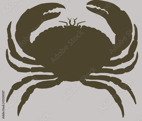 crabe