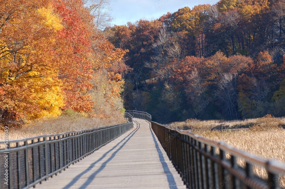 Winding Path through the Beauty Winding Path through the Beauty