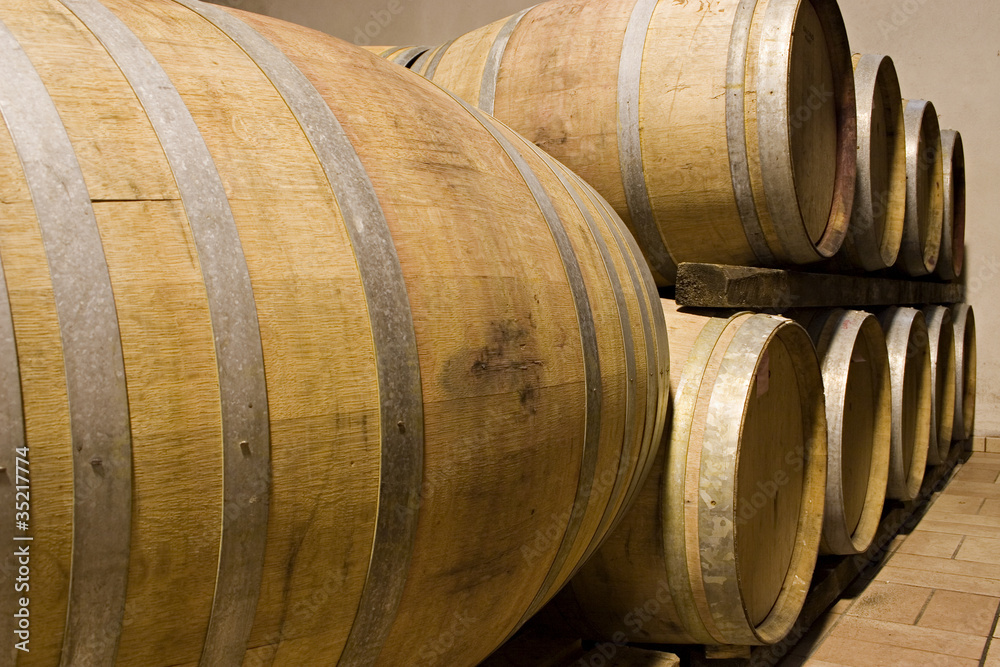 barrels of wine in a cellar