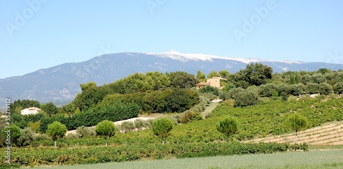 Paysage du Vaucluse